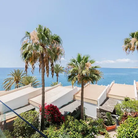 Sunsuites Collection - Flores San Bartolomé